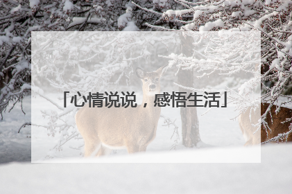 心情说说，感悟生活