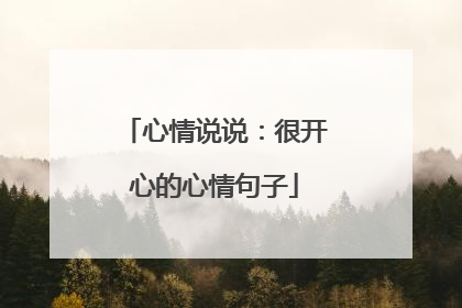 心情说说:很开心的心情句子