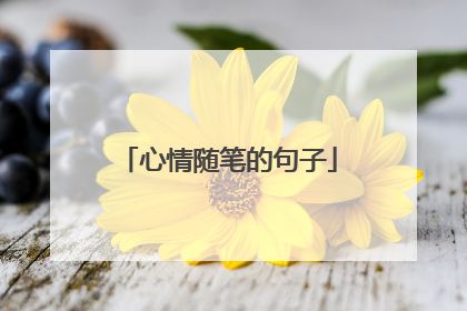 心情随笔的句子