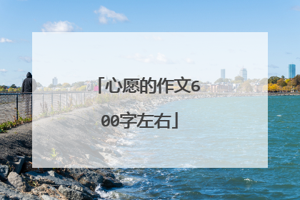 心愿的作文600字左右