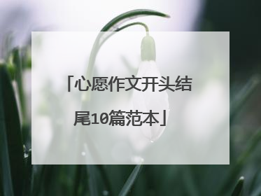 心愿作文开头结尾10篇范本