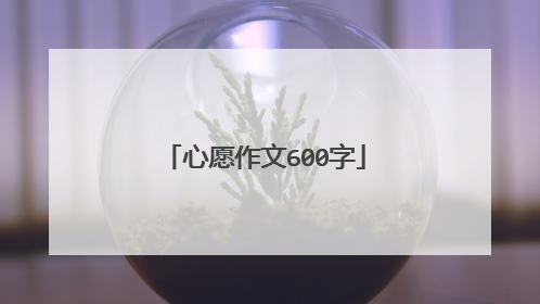 心愿作文600字