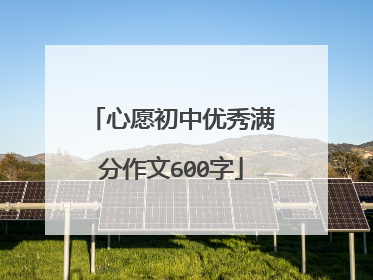 心愿初中优秀满分作文600字