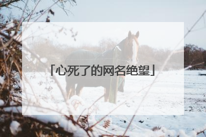 心死了的网名绝望