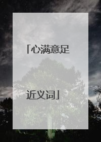 心满意足近义词