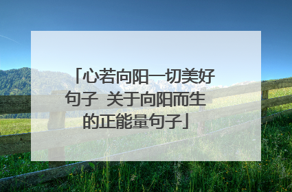 心若向阳一切美好句子 关于向阳而生的正能量句子