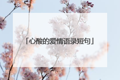 心酸的爱情语录短句