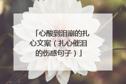 心酸到泪崩的扎心文案(扎心催泪的伤感句子)