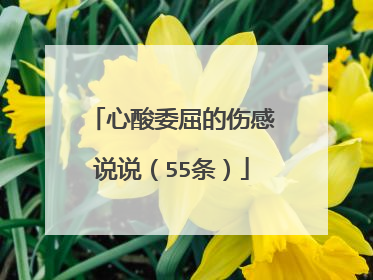 心酸委屈的伤感说说(55条)