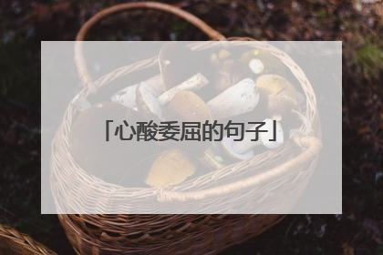 心酸委屈的句子