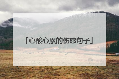 心酸心累的伤感句子