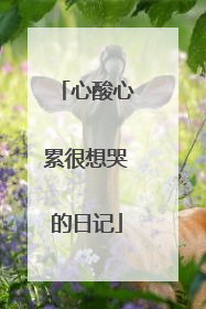 心酸心累很想哭的日记