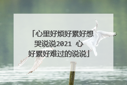心里好烦好累好想哭说说2021 心好累好难过的说说