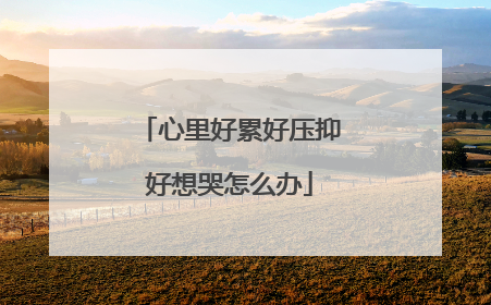 心里好累好压抑好想哭怎么办