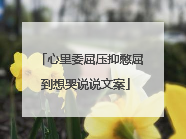 心里委屈压抑憋屈到想哭说说文案