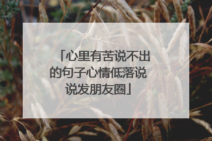 心里有苦说不出的句子心情低落说说发朋友圈