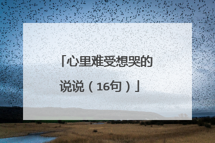 心里难受想哭的说说（16句）