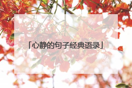心静的句子经典语录