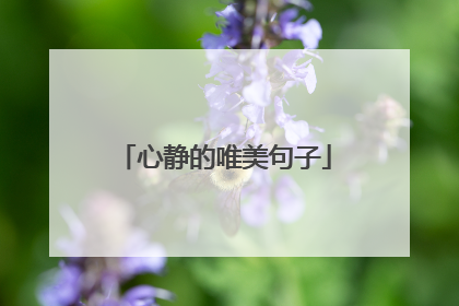 心静的唯美句子