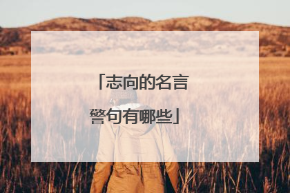 志向的名言警句有哪些