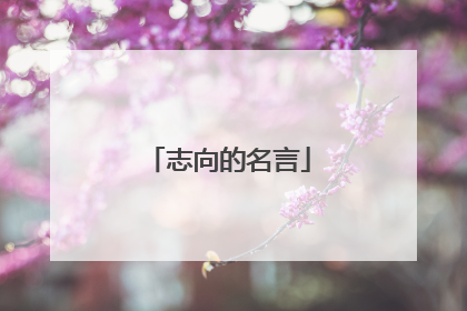 志向的名言