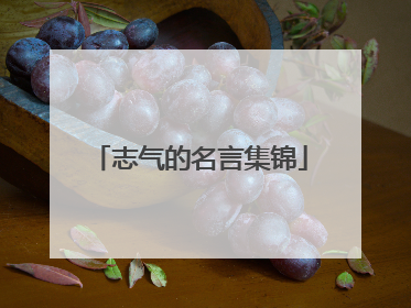 志气的名言集锦