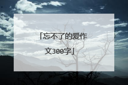 忘不了的爱作文300字