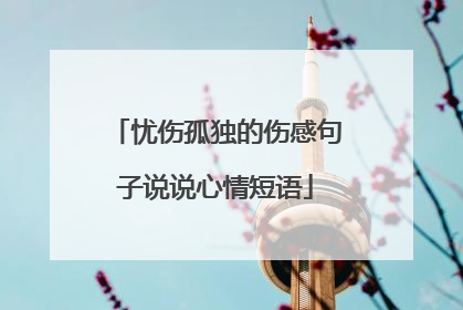 忧伤孤独的伤感句子说说心情短语