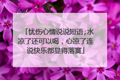 忧伤心情说说短语;水凉了还可以喝,心凉了连说快乐都显得落寞