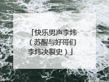 快乐男声李炜(苏醒与好哥们李炜决裂史)