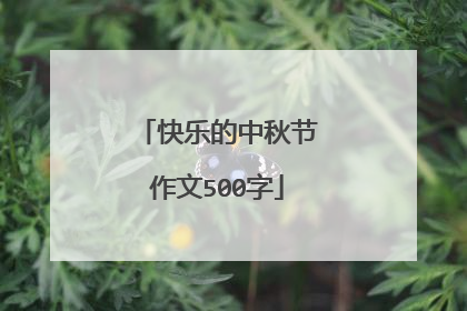快乐的中秋节作文500字