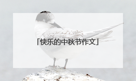 快乐的中秋节作文