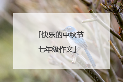 快乐的中秋节七年级作文