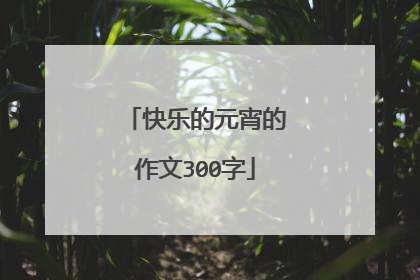快乐的元宵的作文300字