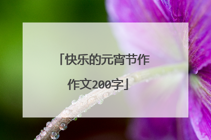 快乐的元宵节作作文200字