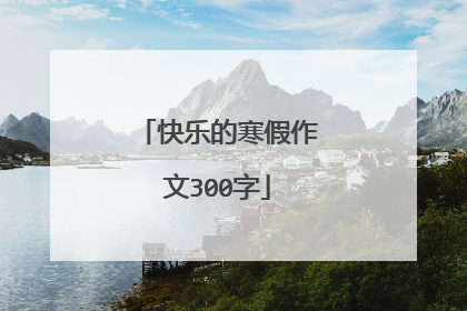 快乐的寒假作文300字