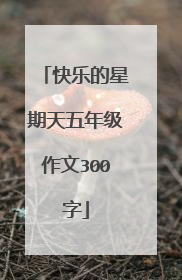 快乐的星期天五年级作文300字