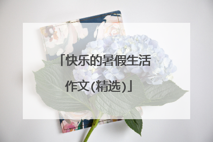 快乐的暑假生活作文(精选)