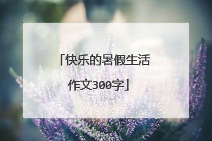 快乐的暑假生活作文300字