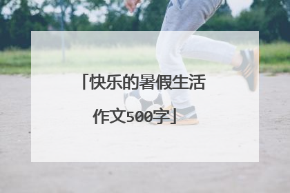 快乐的暑假生活作文500字