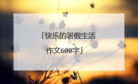 快乐的暑假生活作文600字