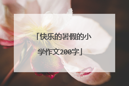 快乐的暑假的小学作文200字