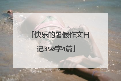 快乐的暑假作文日记350字4篇