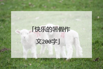 快乐的暑假作文200字
