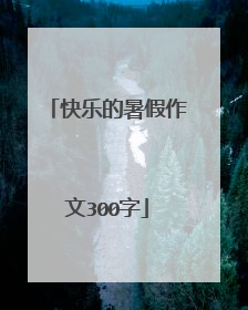 快乐的暑假作文300字