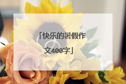 快乐的暑假作文400字