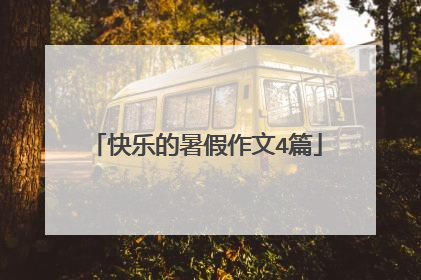 快乐的暑假作文4篇