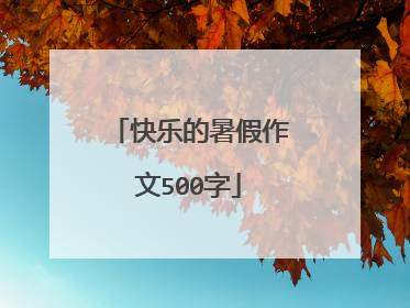 快乐的暑假作文500字