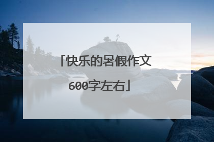 快乐的暑假作文600字左右