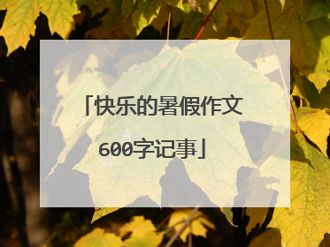 快乐的暑假作文600字记事